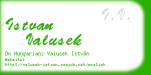 istvan valusek business card